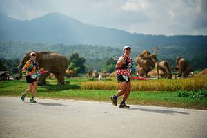 BIB: 
                            <button type="button" onclick="openModal(22435259)" class="btn btn-primary btn-sm float-right btn-popup" data-toggle="modal" data-target=".modal-high-quality">
                        <i class="fas fa-shopping-cart"></i> Add to Cart
                    </button>
                                            <button type="button" onclick="isThisMe(22435259, true)" class="btn btn-success btn-sm float-right btn-popup btn-isme hidden" data-toggle="tooltip" data-placement="bottom" title="นี่คือรูปของคุณใช่ไหม คลิกที่นี่เพื่อเอาเข้าอัลบั้ม">
                        <i class="fas fa-plus"></i> Add to album
                    </button>
                    <button type="button" onclick="isThisMe(22435259, false)" class="btn btn-warning btn-sm float-right btn-popup btn-isnotme hidden">
                        <i class="fas fa-ban"></i> Remove from album
                    </button>